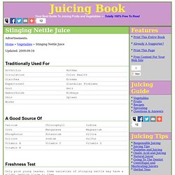 Stinging Nettle Juice — Stinging Nettle Vegetable Juice — Guide To Juicing Stinging Nettle