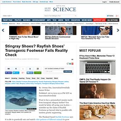 Stingray Shoes? Rayfish Shoes' Transgenic Footwear Fails Reality Check