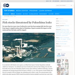 Fish stocks threatened by Fukushima leaks