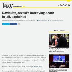 David Stojcevski's horrifying death in jail, explained