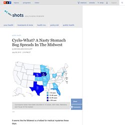Cyclo-What? A Nasty Stomach Bug Spreads In The Midwest : Shots - Health News