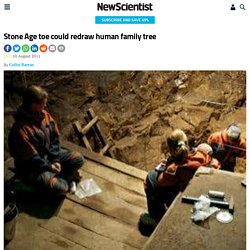 Stone Age toe could redraw human family tree - life - 10 August 2011