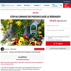 Stop au carnage des pigeons à Assé-le-Bérenger !