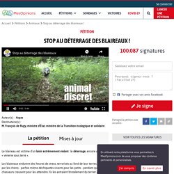 Stop au déterrage des blaireaux !