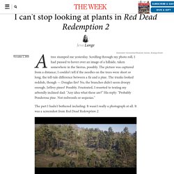 I can't stop looking at plants in Red Dead Redemption 2
