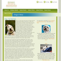 Abused Animal Story - Oogy's Story