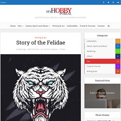 Story of the Felidae - My Hobby Portal