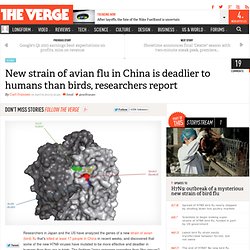 New strain of avian flu in China is deadlier to humans than birds, researchers report