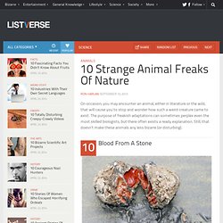 10 Strange Animal Freaks Of Nature - Listverse - Nightly