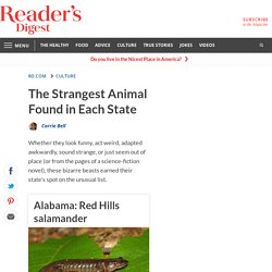The Strangest Animal Found in Each State