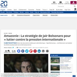 Amazonie : La stratégie de Jair Bolsonaro pour « lutter contre la pression internationale » - 20minutes