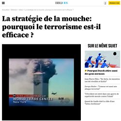 La stratégie de la mouche: pourquoi le terrorisme est-il efficace ?