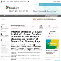 FRONT. PLANT SCI. 01/03/19 Infection Strategies Deployed by Botrytis cinerea, Fusarium acuminatum, and Rhizopus stolonifer as a Function of Tomato Fruit Ripening Stage
