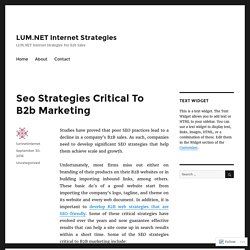 Seo Strategies Critical To B2b Marketing – LUM.NET Internet Strategies