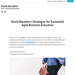 Strategies for Successful Agile Business Execution – David Becattini