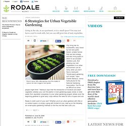 6 Strategies for Urban Vegetable Gardening