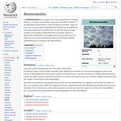 Stratocumulus