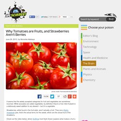 Why Tomatoes are Fruits, and Strawberries Aren't Berries