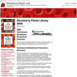 Strawberry Plants Library 0006Strawberry Plants .org
