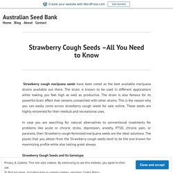 Strawberry Cough Seeds –All You Need to Know