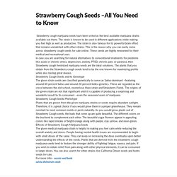 Strawberry Cough Seeds –All You Need to Know