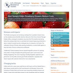 US CLIMATE RESILIENCE TOOLKIT - Alert System Helps Strawberry Growers Reduce Costs.