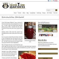 Strawberry Honey Jam Recipe – Just 4 Natural Ingredients With No Sugar Or Pec...