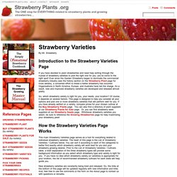 Strawberry Varieties