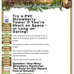 PVC Strawberry Tower, Vertical PVC Strawberry Planter