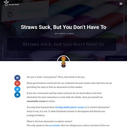 Straws Suck, but you don’t have to - Wilbistraw