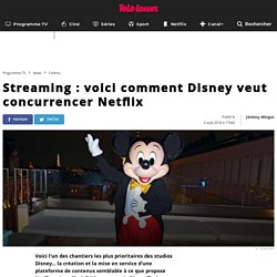 Streaming : voici comment Disney veut concurrencer Netflix