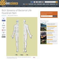 Rich Streams of Bacterial Life Found on Skin
