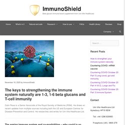 Boost Your Immune System Naturally - ImmunoShield