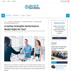 Is Gallup Strengths Performance Model Right for You? - Buzz Sharing