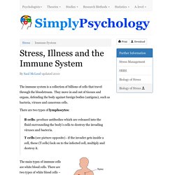 Stress, Illness and the Immune System