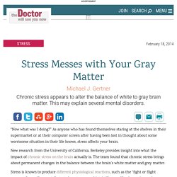 Stress Messes with Your Gray Matter