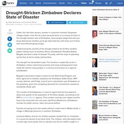 Drought-Stricken Zimbabwe Declares State of Disaster