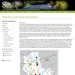 Stroud Water Research Center: Stream Watch