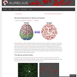 Structural Abstractions in Brains and Graphs « Aurelius