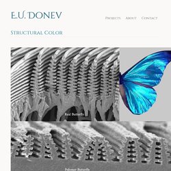 Structural Color - E.U. Donev
