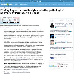 Finding key structural insights into the pathological hallmark of Parkinson's disease