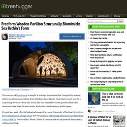 Freeform Wooden Pavilion Structurally Biomimicks Sea Urchin's Form