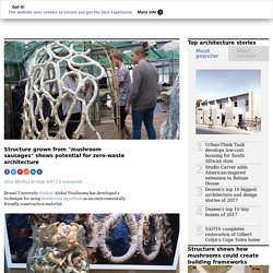 Structure made of mushrooms shows potential for zero-waste architecture