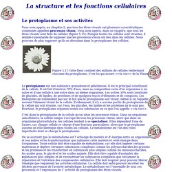 La Structure et les fonctions cellulaires