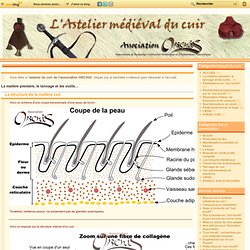 La matière première, le tannage et les outils... - La structure de la… - Histoire des… - Du parchemin au… - Procédé de… - Quelques outils… - Quelques métiers du… - essais de reconstitution d'objets medievaux en cuir.