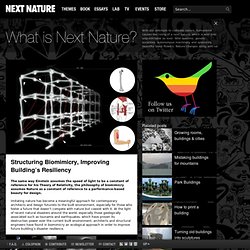 Structuring Biomimicry, Improving Building’s Resiliency