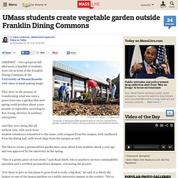 UMass students create vegetable garden outside Franklin Dining Commons