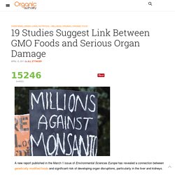 19 Studies Suggest Link Between GMOs and Serious Organ Damage