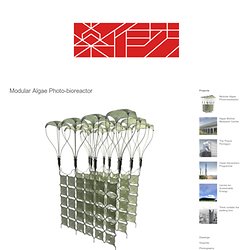 Modular Algae Photo-bioreactor