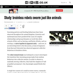Study: brainless robots swarm just like animals